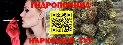 крисы Гусиноозёрск