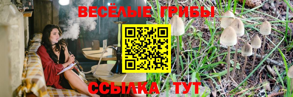 Псилоцибиновые грибы MAGIC MUSHROOMS  Вход с VPN  Ейск  Псилоцибиновые грибы Cubensis 
